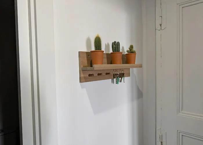 Museo By Oasis Ebi03117