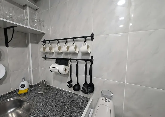 Museo By Oasis Ebi03117 *